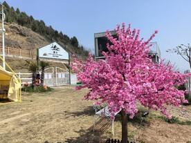 矛仙洞露营基地