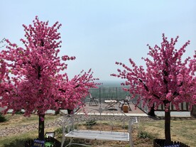 矛仙洞露营基地