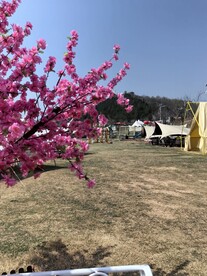 矛仙洞露营基地