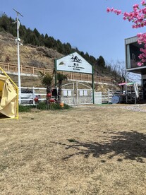 矛仙洞露营基地