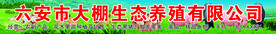 生态养殖