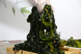 裙带菜