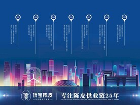 公司发展史