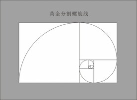 黄金比例螺旋线