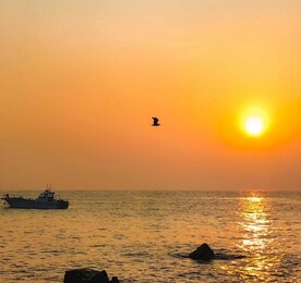 大海