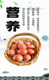 农家鸡蛋