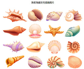 海星海螺贝壳插画