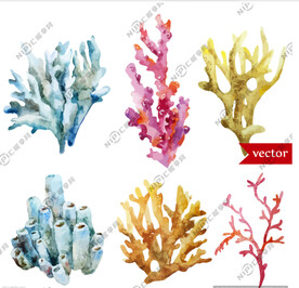 手绘海洋生物