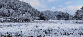 雪景 