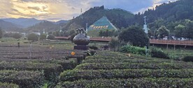  遂川 