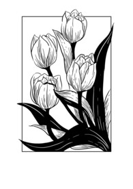 植物线稿图