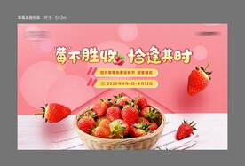 草莓采摘