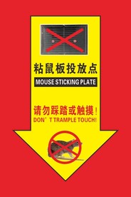 粘鼠板投放点