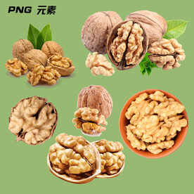 核桃素材源文件