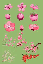 桃花素材源文件