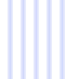 条