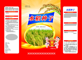水稻种子