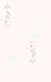 水仙花