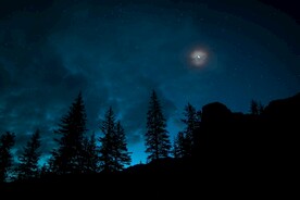 星空下的树林