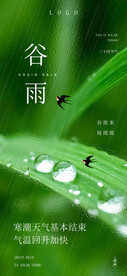 谷雨节气海报