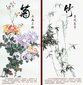 竹菊