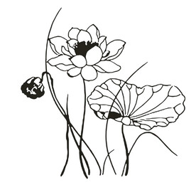 矢量莲花