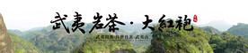 大红袍