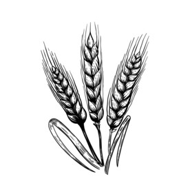 手绘动物装饰画 矢量