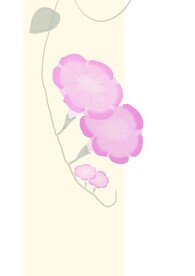牵牛花