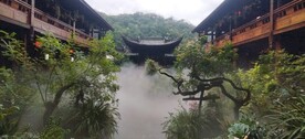 石斛湾