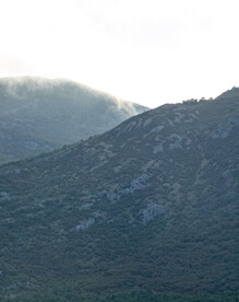 山