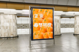 奉节脐橙