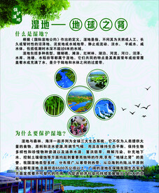 小微湿地广告画