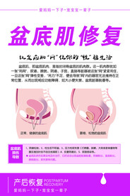 盆底肌修复