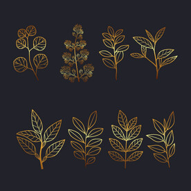 手绘金色植物树叶