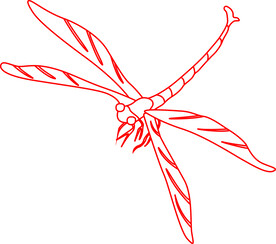 蜻蜓
