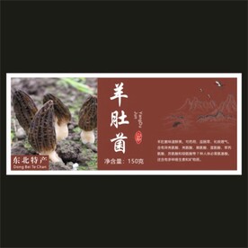 羊肚菌
