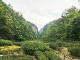 牛栏坑