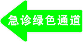 绿色通道箭头标识
