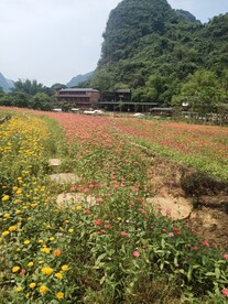 田原风景