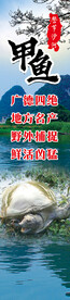 甲鱼海报  