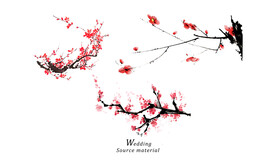 梅花素材