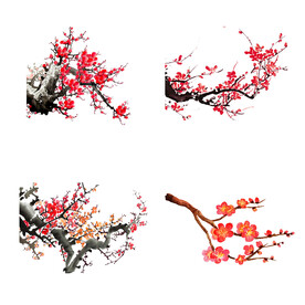 梅花素材