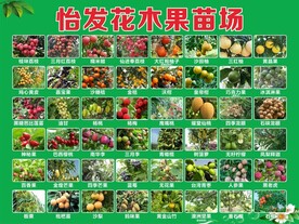 花木果苗