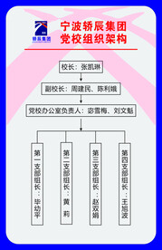 轿辰集团党组织构架