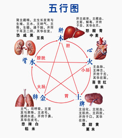 五行图