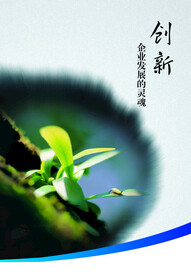 企业文化创新