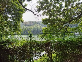 树木园一景