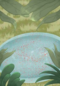 游泳池
