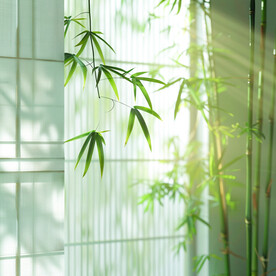 清新背景